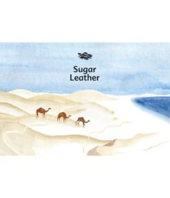 Une Nuit Nomade Sugar Leather Une Nuit Eau Oman Eau De Parfum -Pflegeprodukte Angebote 3770019783429 visual3