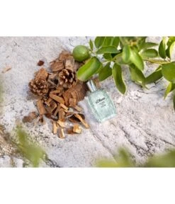 S.Oliver Here & Now Men After Shave Spray -Pflegeprodukte Angebote 4011700898138 visual