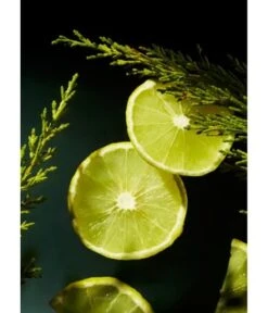 Rituals Life Is A Journey Homme Car Perfume Refill Raumduft 10 Rituals Life Is A Journey Homme Car Perfume Refill Raumduft -Pflegeprodukte Angebote 8719134164190 visual2