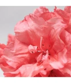 BABOR Skinovage Moisturizing Eye Gel-Cream Augencreme -Pflegeprodukte Angebote babor skinovage moisturizing eye gel cream augencreme 15 ml 4015165359517 visual