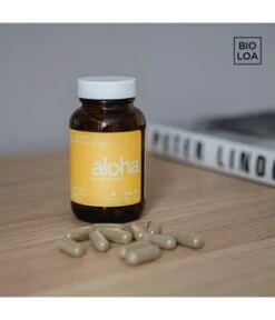 BIOLOA aloha [wohlbefinden] Nahrungsergänzungsmittel -Pflegeprodukte Angebote bioloa aloha wohlbefinden nahrungsergaenzungsmittel 48 g 4270002230613 visual