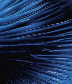 Biotherm Homme Force Supreme Gel Gesichtsgel -Pflegeprodukte Angebote biotherm homme force supreme gel gesichtsgel 50 ml 3614272974999 visual2