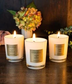 BIRKHOLZ Mini Candle Sets Wild Meadow Kerzenset -Pflegeprodukte Angebote birkholz mini candle sets wild meadow kerzenset 1 stk 4250588323121 visual2