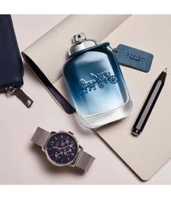 Coach Blue Eau De Toilette -Pflegeprodukte Angebote coach blue eau de toilette 40 ml 3386460113755 detail