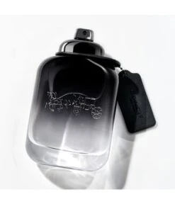 Coach Men Eau De Toilette -Pflegeprodukte Angebote coach men eau de toilette 40 ml 3386460086349 detail