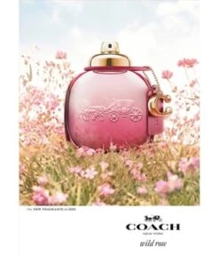 Coach Women Wild Rose Eau De Parfum -Pflegeprodukte Angebote coach women wild rose eau de parfum 30 ml 3386460126595 visual3