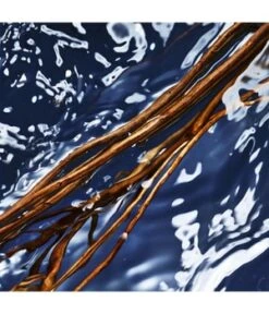 Davidoff Cool Water Oceanic Men Eau De Toilette -Pflegeprodukte Angebote davidoff cool water oceanic men eau de toilette 125 ml 3616303467371 visual3