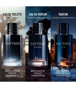 DIOR Sauvage Eau De Parfum -Pflegeprodukte Angebote dior sauvage eau de parfum 60 ml 3348901368254 visual