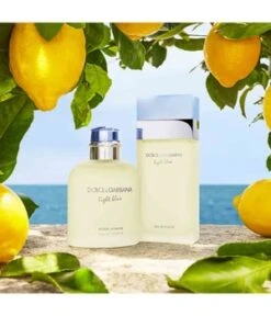 Dolce & Gabbana Dolce&Gabbana Light Blue Eau De Toilette -Pflegeprodukte Angebote dolce and gabbana null eau de toilette 25 ml 3423473020257 visual3