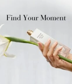 Elizabeth Arden White Tea Eau De Toilette 100 Ml Duftset -Pflegeprodukte Angebote elizabeth arden white tea eau de toilette 100 ml duftset 1 stk 085805255978 visual