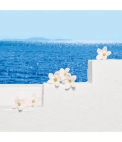 Escada Santorini Sunrise Eau De Toilette -Pflegeprodukte Angebote escada santorini sunrise eau de toilette 30 ml 3616303456269 visual3