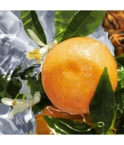 GUERLAIN Aqua Allegoria Pamplelune Eau De Toilette -Pflegeprodukte Angebote guerlain aqua allegoria pamplelune eau de toilette 75 ml 3346470144002 detail