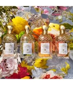 GUERLAIN Aqua Allegoria Pamplelune Eau De Toilette -Pflegeprodukte Angebote guerlain aqua allegoria pamplelune eau de toilette 75 ml 3346470144002 visual