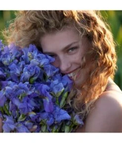 GUERLAIN Aqua Allegoria Pamplelune Eau De Toilette -Pflegeprodukte Angebote guerlain aqua allegoria pamplelune eau de toilette 75 ml 3346470144002 visual3