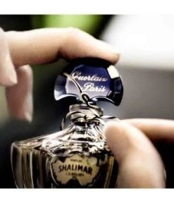 GUERLAIN Shalimar Philtre Eau De Parfum -Pflegeprodukte Angebote guerlain shalimar philtre eau de parfum 90 ml 3346470141339 visual