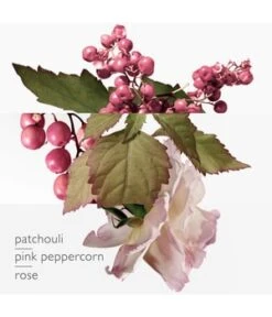 HERMÈS Twilly D’Hermès Eau Poivrée Eau De Parfum 9 HERMÈS Twilly D’Hermès Eau Poivrée Eau De Parfum -Pflegeprodukte Angebote hermes twilly d hermes eau poivree eau de parfum 30 ml 3346130009474 detail