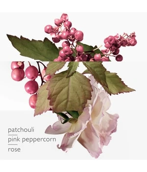 HERMÈS Twilly D’Hermès Eau Poivrée Eau De Parfum 5 HERMÈS Twilly D’Hermès Eau Poivrée Eau De Parfum – Bild 3