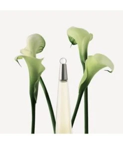 Issey Miyake L'Eau D'Issey Eau De Toilette -Pflegeprodukte Angebote issey miyake null eau de toilette 100 ml 3423470300161 detail