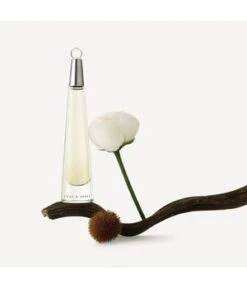 Issey Miyake L'Eau D'Issey Eau De Toilette -Pflegeprodukte Angebote issey miyake null eau de toilette 100 ml 3423470300161 visual2