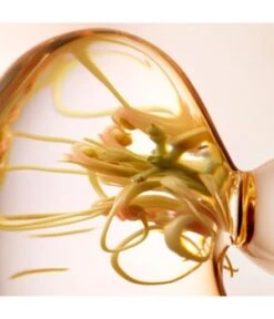 Lancaster Skin Essentials Express Cleanser Reinigungsmilch 10 Lancaster Skin Essentials Express Cleanser Reinigungsmilch -Pflegeprodukte Angebote lancaster skin essentials express cleanser reinigungsmilch 400 ml 3616301791140 detail