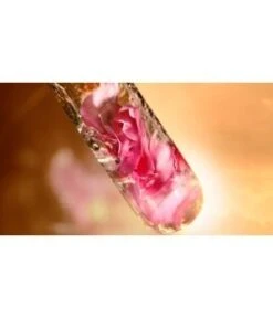 Lancome LANCÔME Absolue Soft Cream Gesichtscreme -Pflegeprodukte Angebote lancome absolue soft cream gesichtscreme 30 ml 3614272325265 visual2