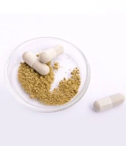 Pacific Healthcare Deepcell Restore Caps+ Nahrungsergänzungsmittel 9 Pacific Healthcare Deepcell Restore Caps+ Nahrungsergänzungsmittel -Pflegeprodukte Angebote pacific healthcare deepcell restore caps nahrungsergaenzungsmittel 60 stk 4260702362011 detail