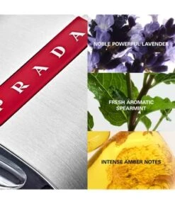 Prada Luna Rossa Eau De Toilette -Pflegeprodukte Angebote prada luna rossa eau de toilette 50 ml 8435137729197 detail