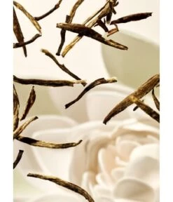 Rituals Life Is A Journey Lotus & White Tea Karma Car Perfume Raumduft -Pflegeprodukte Angebote rituals life is a journey karma car perfume raumduft 6 g 8719134093681 detail