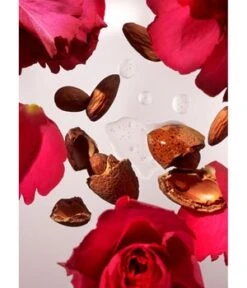 Rituals The Ritual Of Ayurveda Body Cream + Refill Pack Körperpflegeset -Pflegeprodukte Angebote rituals the ritual of ayurveda body cream refill pack koerperpflegeset 1 stk 8719134127973 detail