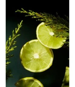 Rituals The Ritual Of Homme Trial Giftset Körperpflegeset -Pflegeprodukte Angebote rituals the ritual of homme trial giftset koerperpflegeset 1 stk 8719134139860 detail