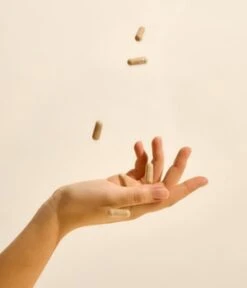 Ruby Libido Booster Für Sie Natürliches Aphrodisiakum Nahrungsergänzungsmittel -Pflegeprodukte Angebote ruby libido booster fuer sie natuerliches aphrodisiakum nahrungsergaenzungsmittel 20 stk 4260760730012 visual2