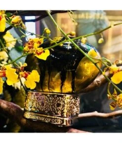 The House Of Oud Dates Delight Eau De Parfum -Pflegeprodukte Angebote the house of oud dates delight eau de parfum 75 ml 8051277318543 visual2