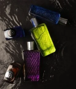 The Merchant Of Venice Nobil Homo Colonia Veneziana Eau De Parfum -Pflegeprodukte Angebote the merchant of venice nobil homo colonia veneziana eau de parfum 100 ml 0679602491099 detail