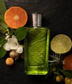 The Merchant Of Venice Nobil Homo Colonia Veneziana Eau De Parfum -Pflegeprodukte Angebote the merchant of venice nobil homo colonia veneziana eau de parfum 100 ml 0679602491099 visual