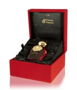 Tiziana Terenzi Tempel Eau De Parfum -Pflegeprodukte Angebote tiziana terenzi tempel eau de parfum 100 ml 8016741942587 visual2