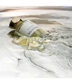 WILGERMAIN Aquafortis Eau De Parfum -Pflegeprodukte Angebote wilgermain null eau de parfum 100 ml 8436587660078 visual2