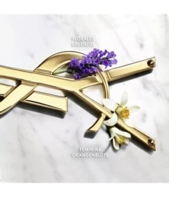 Yves Saint Laurent Libre Eau De Parfum -Pflegeprodukte Angebote yves saint laurent libre eau de parfum 30 ml 3614272648401 detail