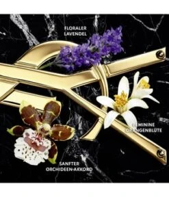 Yves Saint Laurent Libre Intense Eau De Parfum -Pflegeprodukte Angebote yves saint laurent libre intense eau de parfum 30 ml 3614273069533 detail