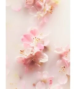 Rituals The Ritual Of Sakura Cherry Blossom & Rice Milk Scented Candle Duftkerze -Pflegeprodukte Angebote 8719134161946 visual2