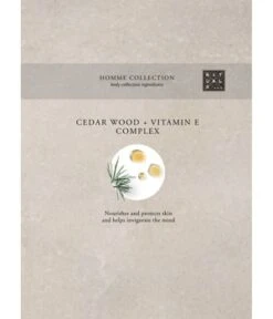 Rituals The Ritual Of Homme Strengthening Caffeine Shampoo Haarshampoo -Pflegeprodukte Angebote 8719134163063 visual