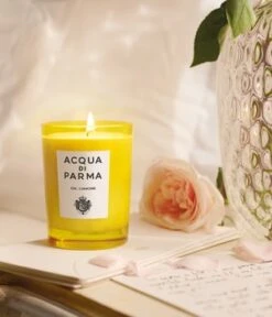 Acqua Di Parma Glass Candle Primo Amore Duftkerze -Pflegeprodukte Angebote acqua di parma glass candle primo amore duftkerze 200 g 8028713620027 detail