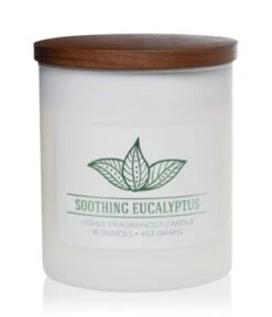 Colonial Candle Wellness Soothing Eucalyptus Duftkerze