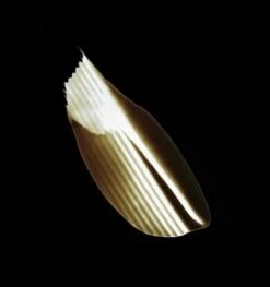 Kérastase Chroma Absolu Masque Vert Chroma Neutralisant Haarmaske -Pflegeprodukte Angebote kerastase chroma absolu masque vert chroma neutralisant haarmaske 150 ml 3474637059095 visual