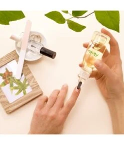 Melvita Rizinusöl Nagelöl -Pflegeprodukte Angebote melvita rizinusoel nageloel 50 ml 3284410042509 visual