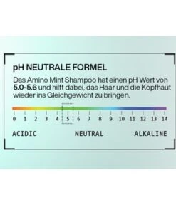 REDKEN Amino Mint Scalp Relief Haarshampoo -Pflegeprodukte Angebote redken amino mint scalp relief haarshampoo 300 ml 3474637068370 detail