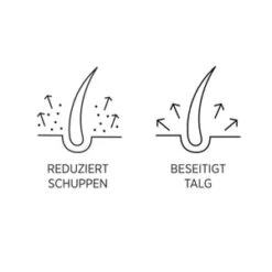 System Professional LipidCode Man Anti-Dandruff (M1D) Haarshampoo -Pflegeprodukte Angebote system professional man anti dandruff m1d haarshampoo 250 ml 4064666010090 detail