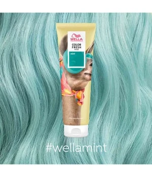 Wella Professionals Color Fresh Mask Farbmaske 4 Wella Professionals Color Fresh Mask Farbmaske – Bild 2