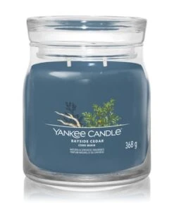 Yankee Candle Bayside Cedar Duftkerze