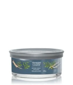 Yankee Candle Bayside Cedar Signature Multi Wick Tumbler Duftkerze