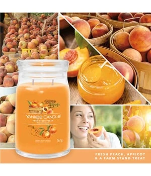 Yankee Candle Farm Fresh Peach Duftkerze 5 Yankee Candle Farm Fresh Peach Duftkerze – Bild 3
